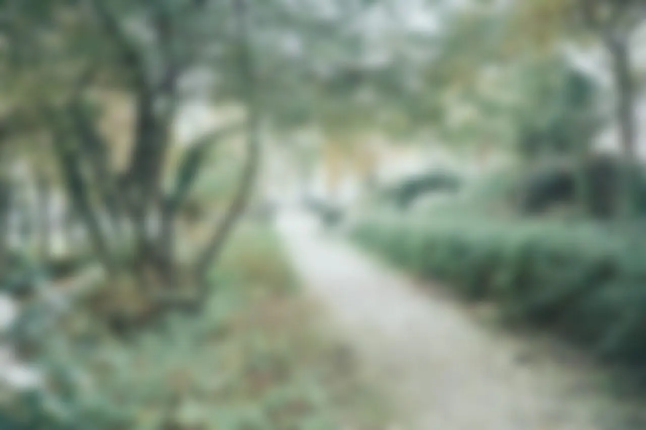 Soft-focus garden path